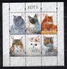 Почтовые марки. Польша, 2010 г. Кошки. Бл. 191