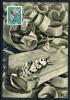 Картмаксимум. Швейцария 1953 г. Черные Арки. 1953г