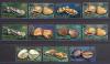 Почтовые марки. Остров Кука. 1978г. Ракушки. №566-576 1978г