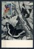 Картмаксимум. Сан-Марино 1963 г. Обрина Оливковое Крыло. СГ -1965 г. 1963г