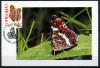 Картмаксимум. Швейцария 1995 г. Бабочка карта. 1995г