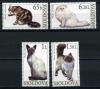 Почтовые марки. Молдова 2007 г. Кошки. № 586-589 (Mi: 7.00 Евро). 2007г